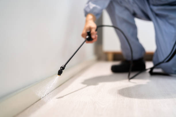 Licensed Rodent Control service in Mitchell, IN - Nex Pest Control