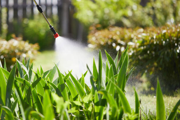 24/7 Emergency Rodent Control experts in Mitchell, IN